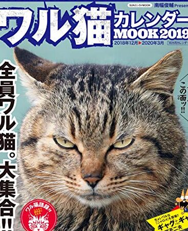 ワル猫カレンダー:ワル顔がたまらない!ワル猫カレンダー 1 e383afe383abe78cabe382abe383ace383b3e38380e383bcefbc9ae383afe383abe9a194e3818ce3819fe381bee38289e381aae38184efbc81e383afe383abe78cab