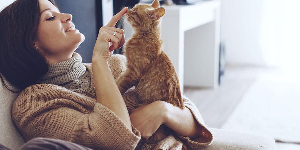一人暮らし猫: 猫と暮らすための注意点 5 e4b880e4babae69aaee38289e38197e78cab e78cabe381a8e69aaee38289e38199e3819fe38281e381aee6b3a8e6848fe782b9