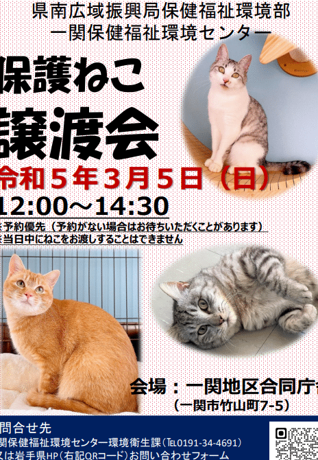 一関 保護猫:一関市で保護された猫たち!里親募集情報 5 e4b880e996a2 e4bf9de8adb7e78cabefbc9ae4b880e996a2e5b882e381a7e4bf9de8adb7e38195e3828ce3819fe78cabe3819fe381a1efbc81e9878ce8a6aae58b9f