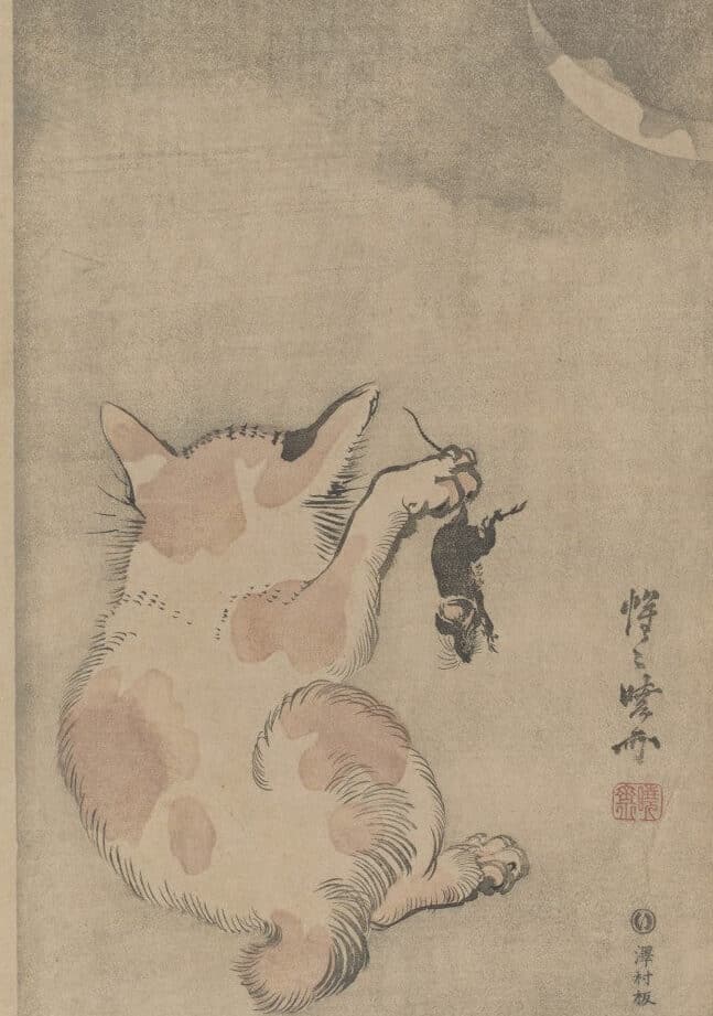 弥生時代の猫: 古代日本の猫文化を紐解く 1 e5bca5e7949fe69982e4bba3e381aee78cab e58fa4e4bba3e697a5e69cace381aee78cabe69687e58c96e38292e7b490e8a7a3e3818f