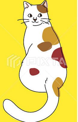 振り返る猫:可愛い!振り返る猫の画像集 1 e68cafe3828ae8bf94e3828be78cabefbc9ae58fafe6849be38184efbc81e68cafe3828ae8bf94e3828be78cabe381aee794bbe5838fe99b86