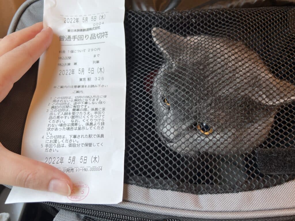 新幹線 猫 うるさい:新幹線で猫を連れて行く際の注意点 5 e696b0e5b9b9e7b79a e78cab e38186e3828be38195e38184efbc9ae696b0e5b9b9e7b79ae381a7e78cabe38292e980a3e3828ce381a6e8a18ce3818fe99a9be381ae