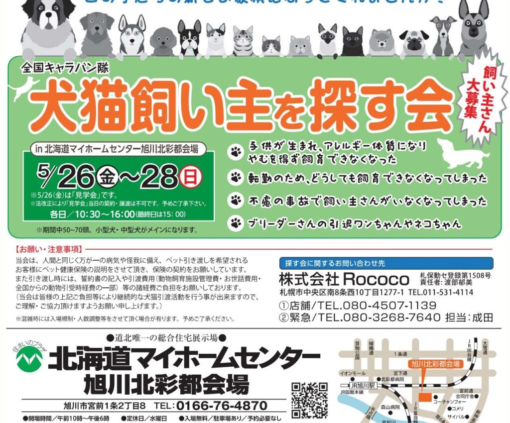 旭川 猫譲渡会:旭川市で開催される猫の譲渡会情報 5 e697ade5b79d e78cabe8adb2e6b8a1e4bc9aefbc9ae697ade5b79de5b882e381a7e9968be582ace38195e3828ce3828be78cabe381aee8adb2e6b8a1e4bc9ae68385