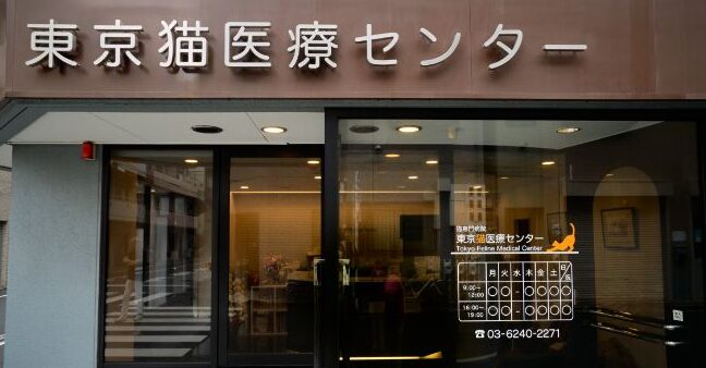 東京猫医療センター:高度な猫専門医療を提供する病院 5 e69db1e4baace78cabe58cbbe79982e382bbe383b3e382bfe383bcefbc9ae9ab98e5baa6e381aae78cabe5b082e99680e58cbbe79982e38292e68f90e4be9be38199