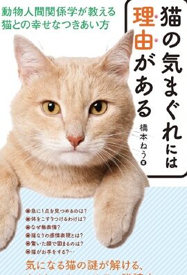 気まぐれな猫の心理: 気まぐれ行動の理由を探る 1 e6b097e381bee38190e3828ce381aae78cabe381aee5bf83e79086 e6b097e381bee38190e3828ce8a18ce58b95e381aee79086e794b1e38292e68ea2e3828b