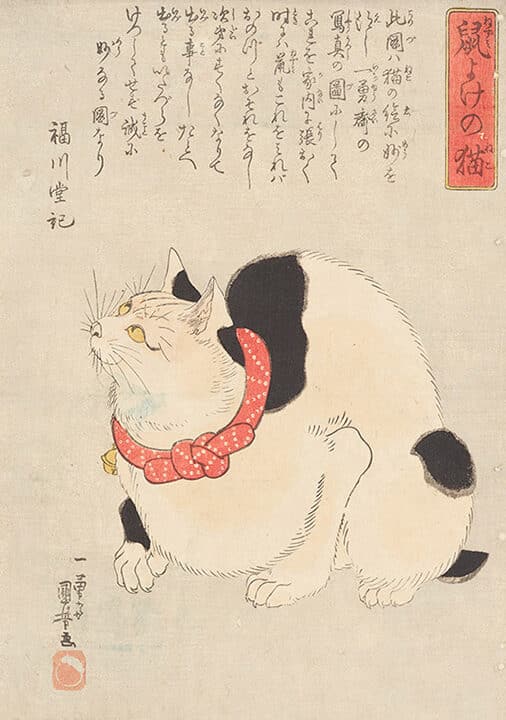 浮世絵猫: 歌川国芳などの浮世絵師が描いた猫 5 e6b5aee4b896e7b5b5e78cab e6ad8ce5b79de59bbde88ab3e381aae381a9e381aee6b5aee4b896e7b5b5e5b8abe3818ce68f8fe38184e3819fe78cab