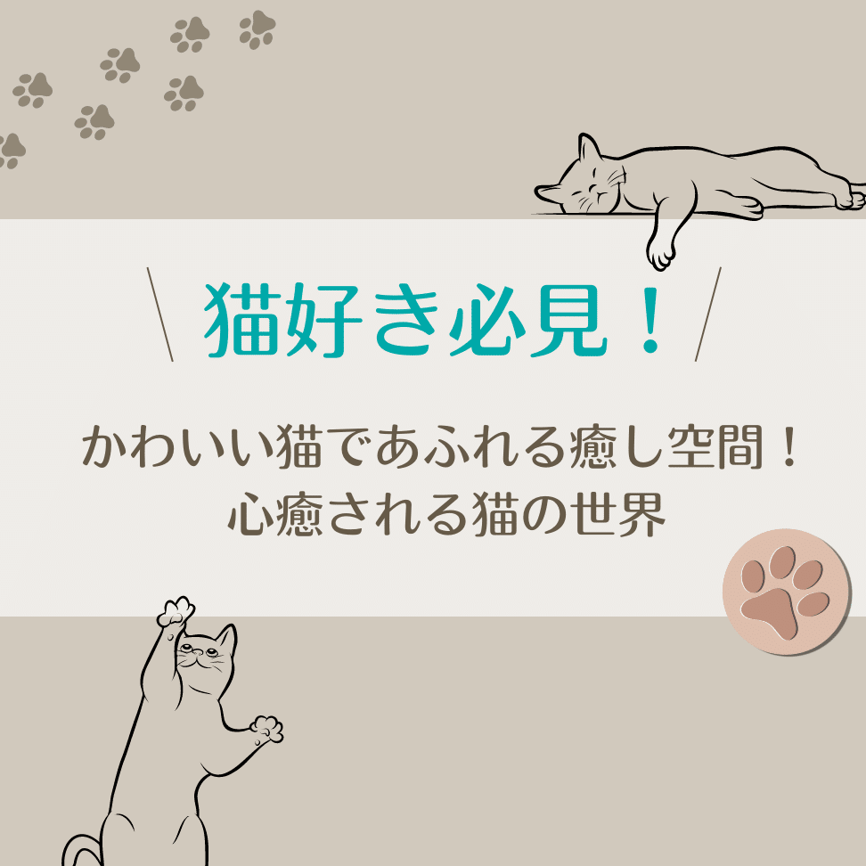 熊本の猫スポット5選!猫カフェから神社まで癒やしの空間 1 e7868ae69cace381aee78cabe382b9e3839de38383e383885e981b8efbc81e78cabe382abe38395e382a7e3818be38289e7a59ee7a4bee381bee381a7e79992e38284