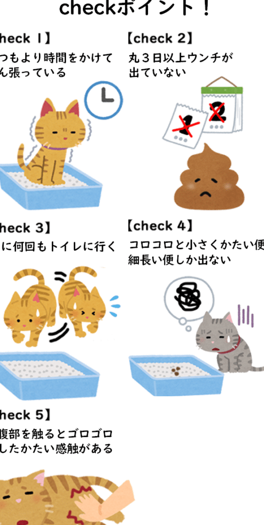 猫うんちしない: 原因と対処法、病気の可能性 5 e78cabe38186e38293e381a1e38197e381aae38184 e58e9fe59ba0e381a8e5afbee587a6e6b395e38081e79785e6b097e381aee58fafe883bde680a7