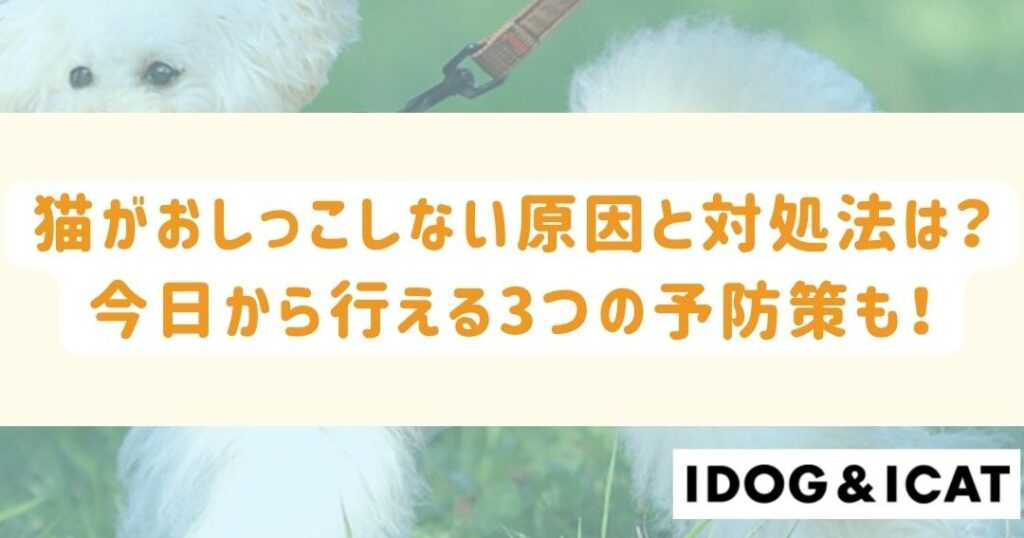 猫おしっこ出ない: 原因と対処法、病気の可能性 5 e78cabe3818ae38197e381a3e38193e587bae381aae38184 e58e9fe59ba0e381a8e5afbee587a6e6b395e38081e79785e6b097e381aee58fafe883bde680a7
