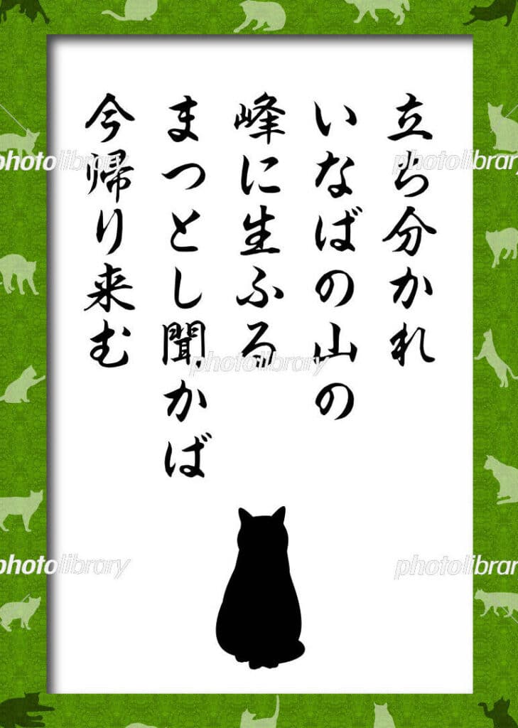 猫がいなくなった時のおまじない!効果と注意点 5 e78cabe3818ce38184e381aae3818fe381aae381a3e3819fe69982e381aee3818ae381bee38198e381aae38184efbc81e58ab9e69e9ce381a8e6b3a8e6848fe782b9