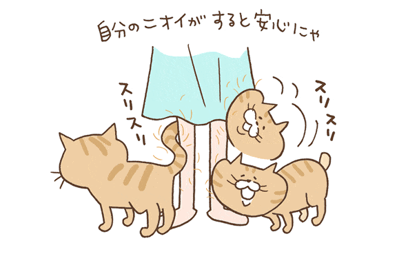 猫がすりすりする理由とは?愛情表現?マーキング? 5 e78cabe3818ce38199e3828ae38199e3828ae38199e3828be79086e794b1e381a8e381afefbc9fe6849be68385e8a1a8e78fbeefbc9fe3839ee383bce382ade383b3