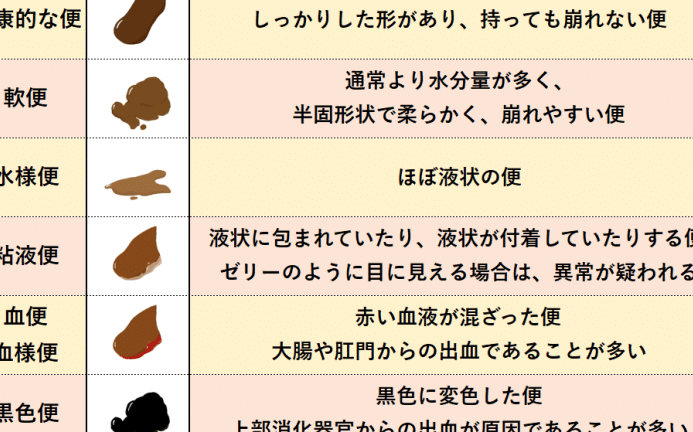 猫が下痢と嘔吐!食欲はあるけど大丈夫?考えられる原因と対処法 5 e78cabe3818ce4b88be797a2e381a8e59894e59090efbc81e9a39fe6acb2e381afe38182e3828be38191e381a9e5a4a7e4b888e5a4abefbc9fe88083e38188e38289