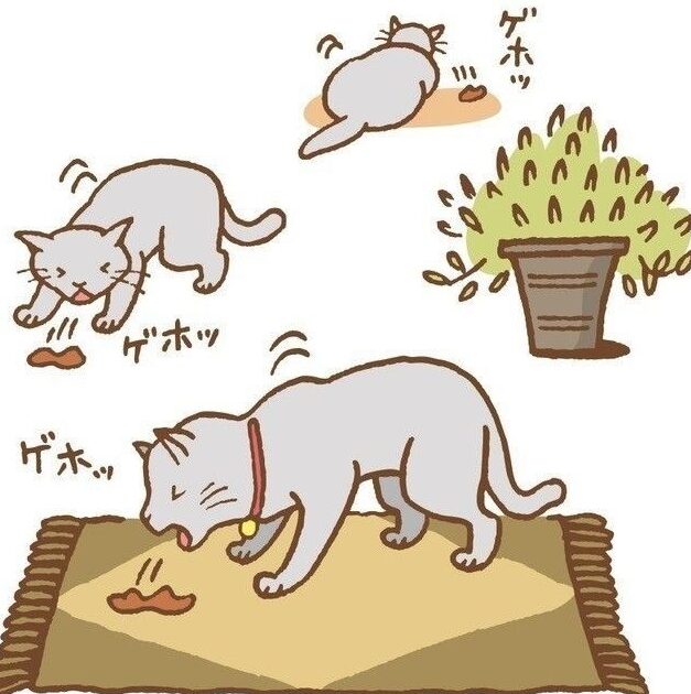猫が吐いた後、水を飲むのは大丈夫?注意点と対処法 5 e78cabe3818ce59090e38184e3819fe5be8ce38081e6b0b4e38292e9a3b2e38280e381aee381afe5a4a7e4b888e5a4abefbc9fe6b3a8e6848fe782b9e381a8e5afbe