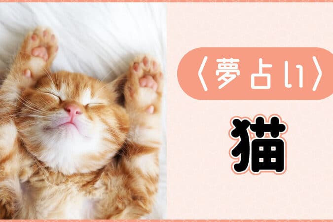 猫が夢に出てきたら: 夢占いでわかる意味とは? 8 e78cabe3818ce5a4a2e381abe587bae381a6e3818de3819fe38289 e5a4a2e58da0e38184e381a7e3828fe3818be3828be6848fe591b3e381a8e381afefbc9f