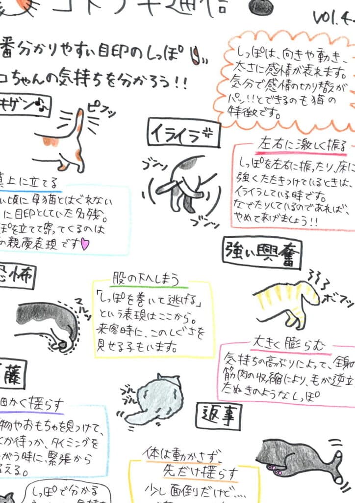 猫が尻尾を振る意味とは?感情を読み解く方法 1 e78cabe3818ce5b0bbe5b0bee38292e68cafe3828be6848fe591b3e381a8e381afefbc9fe6849fe68385e38292e8aaade381bfe8a7a3e3818fe696b9e6b395