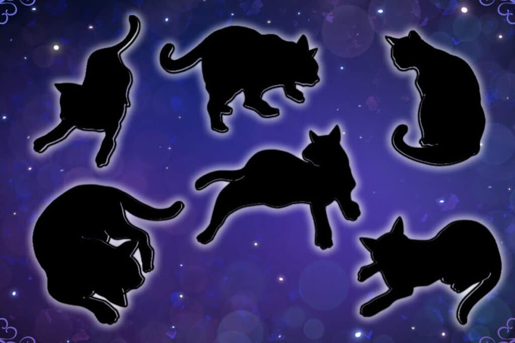 猫が死ぬ夢:夢占いでの意味と心理的な解釈 1 e78cabe3818ce6adbbe381ace5a4a2efbc9ae5a4a2e58da0e38184e381a7e381aee6848fe591b3e381a8e5bf83e79086e79a84e381aae8a7a3e98788