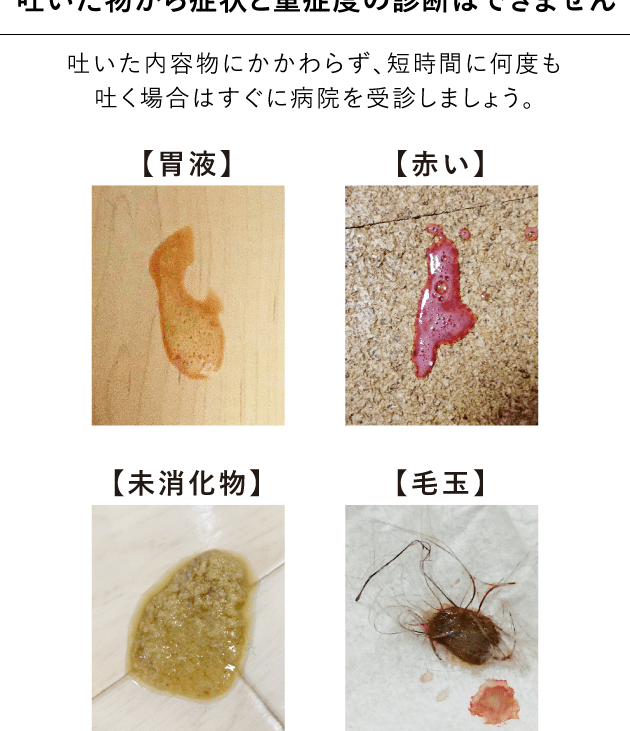 猫が毛玉を吐けない!原因と対処法、病院へ行く目安は? 5 e78cabe3818ce6af9be78e89e38292e59090e38191e381aae38184efbc81e58e9fe59ba0e381a8e5afbee587a6e6b395e38081e79785e999a2e381b8e8a18ce3818f