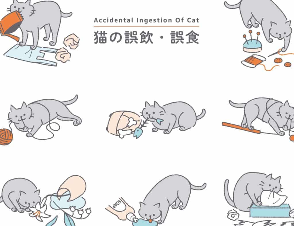 猫が餅を食べるのは危険?: 喉詰まりのリスクと対処法 9 e78cabe3818ce9a485e38292e9a39fe381b9e3828be381aee381afe58db1e999baefbc9f e59689e8a9b0e381bee3828ae381aee383aae382b9e382afe381a8e5afbe