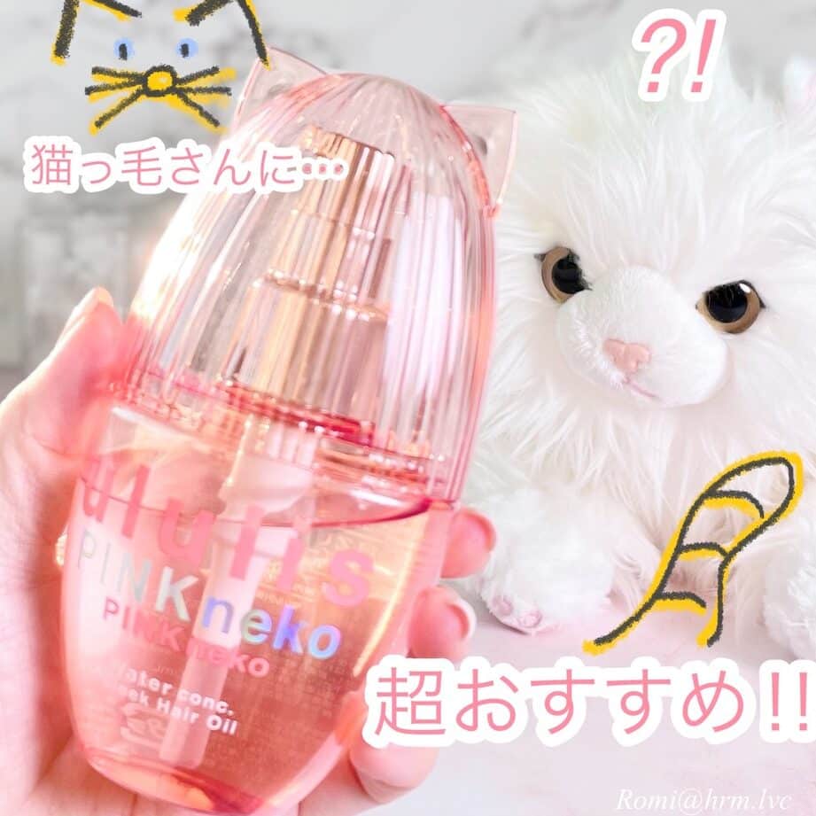 猫っ毛をケアする最高のヘアオイル:究極のガイド 5 e78cabe381a3e6af9be38292e382b1e382a2e38199e3828be69c80e9ab98e381aee38398e382a2e382aae382a4e383abefbc9ae7a9b6e6a5b5e381aee382ace382a4