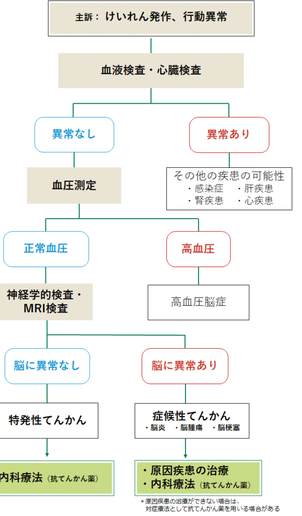 猫てんかん: 症状と原因、治療法について 9 e78cabe381a6e38293e3818be38293 e79787e78ab6e381a8e58e9fe59ba0e38081e6b2bbe79982e6b395e381abe381a4e38184e381a6
