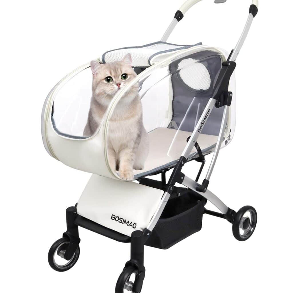 猫とのお出かけが快適に!ペットカート選びのポイントとおすすめ 5 e78cabe381a8e381aee3818ae587bae3818be38191e3818ce5bfabe981a9e381abefbc81e3839ae38383e38388e382abe383bce38388e981b8e381b3e381aee3839d