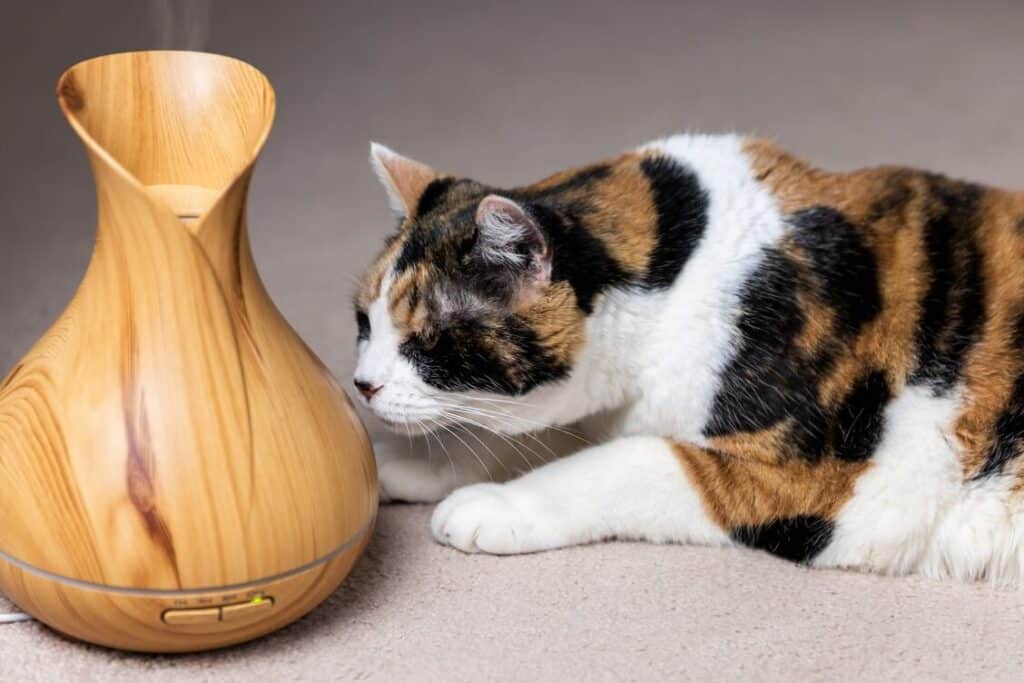 猫とアロマ:安全な精油と注意点、効果的な使い方 5 e78cabe381a8e382a2e383ade3839eefbc9ae5ae89e585a8e381aae7b2bee6b2b9e381a8e6b3a8e6848fe782b9e38081e58ab9e69e9ce79a84e381aae4bdbfe38184