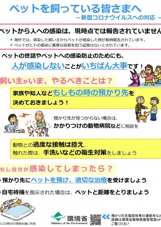 猫とコロナウイルス:感染症のリスクと予防策 5 e78cabe381a8e382b3e383ade3838ae382a6e382a4e383abe382b9efbc9ae6849fe69f93e79787e381aee383aae382b9e382afe381a8e4ba88e998b2e7ad96