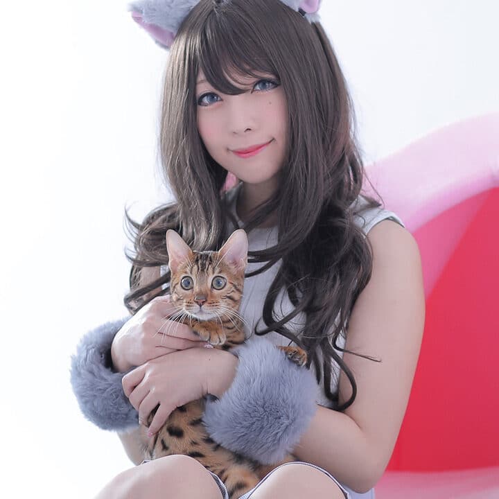 猫になりたい心理とは?その深層心理を探る 1 e78cabe381abe381aae3828ae3819fe38184e5bf83e79086e381a8e381afefbc9fe3819de381aee6b7b1e5b1a4e5bf83e79086e38292e68ea2e3828b