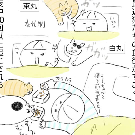猫に起こされる寝不足!猫の夜鳴き対策 5 e78cabe381abe8b5b7e38193e38195e3828ce3828be5af9de4b88de8b6b3efbc81e78cabe381aee5a49ce9b3b4e3818de5afbee7ad96