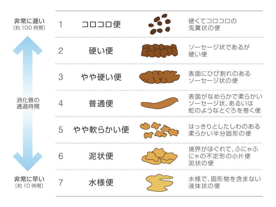 猫のうんちの回数、正常値は?便秘や下痢のサインを見極める 5 e78cabe381aee38186e38293e381a1e381aee59b9ee695b0e38081e6ada3e5b8b8e580a4e381afefbc9fe4bebfe7a798e38284e4b88be797a2e381aee382b5e382a4