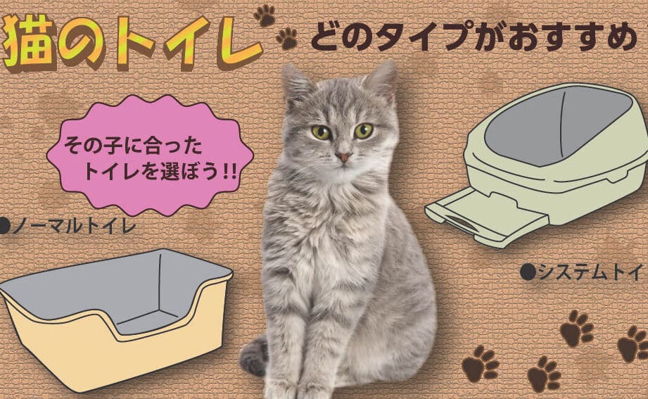 猫のおしっこシート:最適な選択とその効果 5 e78cabe381aee3818ae38197e381a3e38193e382b7e383bce38388efbc9ae69c80e981a9e381aae981b8e68a9ee381a8e3819de381aee58ab9e69e9c 1