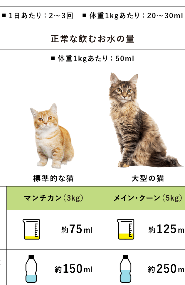 猫のおしっこ!頻度や量、色、臭いでわかる健康状態 5 e78cabe381aee3818ae38197e381a3e38193efbc81e9a0bbe5baa6e38284e9878fe38081e889b2e38081e887ade38184e381a7e3828fe3818be3828be581a5e5bab7