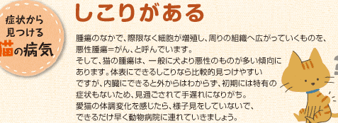 猫のしこりが痛がらない場合:考えられる病気と対処法 5 e78cabe381aee38197e38193e3828ae3818ce7979be3818ce38289e381aae38184e5a0b4e59088efbc9ae88083e38188e38289e3828ce3828be79785e6b097e381a8
