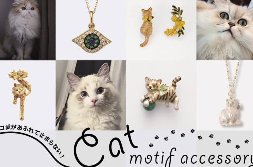 猫のカバン:愛猫を連れて行く究極のアクセサリー 5 e78cabe381aee382abe38390e383b3efbc9ae6849be78cabe38292e980a3e3828ce381a6e8a18ce3818fe7a9b6e6a5b5e381aee382a2e382afe382bbe382b5e383aa