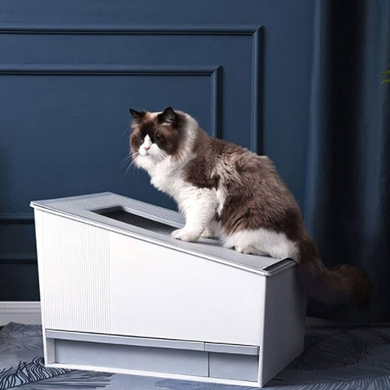 猫のゴミ箱:完全ガイドとクリーニングテクニック 5 e78cabe381aee382b4e3839fe7aeb1efbc9ae5ae8ce585a8e382ace382a4e38389e381a8e382afe383aae383bce3838be383b3e382b0e38386e382afe3838be38383