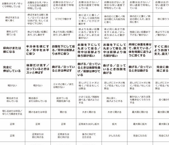 猫のストレスサイン!見逃さないための注意点 1 e78cabe381aee382b9e38388e383ace382b9e382b5e382a4e383b3efbc81e8a68be98083e38195e381aae38184e3819fe38281e381aee6b3a8e6848fe782b9