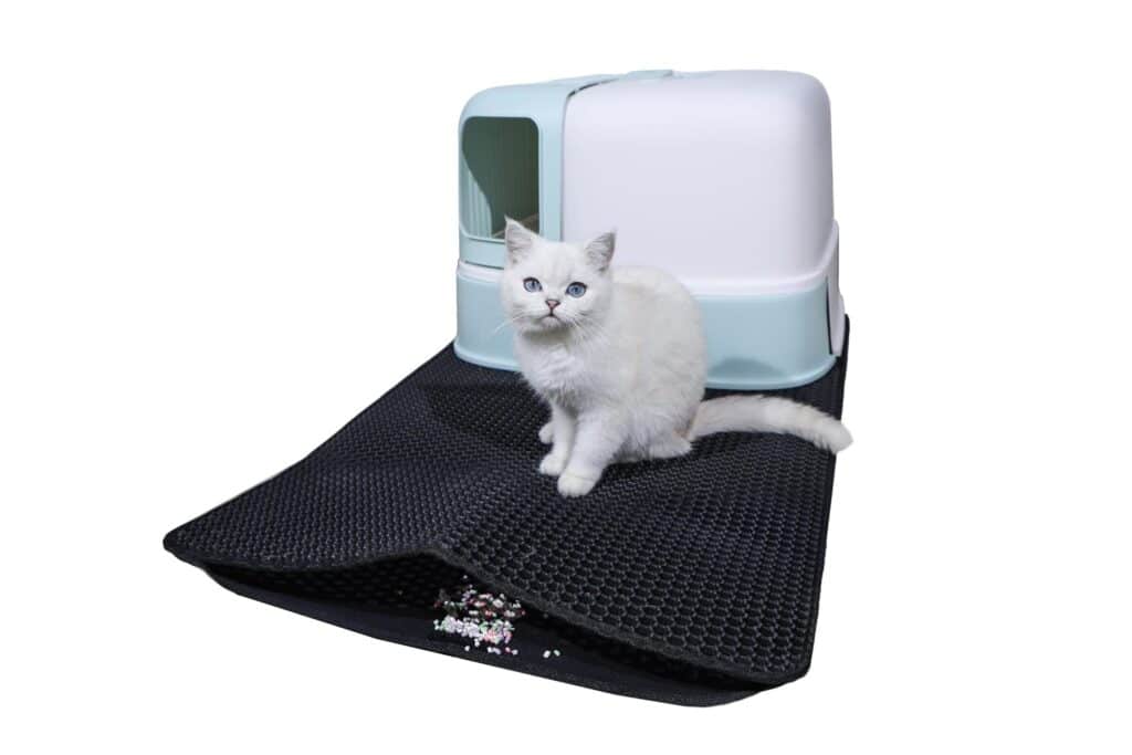 猫のトイレマット:クリーンで快適な環境の作り方 5 e78cabe381aee38388e382a4e383ace3839ee38383e38388efbc9ae382afe383aae383bce383b3e381a7e5bfabe981a9e381aae792b0e5a283e381aee4bd9ce3828a