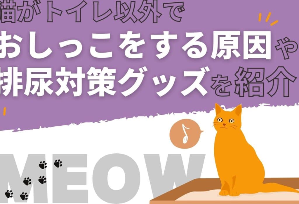 猫のトイレ以外で尿をする原因と対策 5 e78cabe381aee38388e382a4e383ace4bba5e5a496e381a7e5b0bfe38292e38199e3828be58e9fe59ba0e381a8e5afbee7ad96