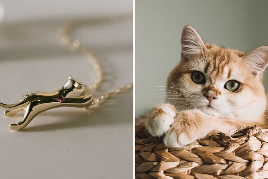 猫のネックレス:愛猫への究極のアクセサリー 5 e78cabe381aee3838de38383e382afe383ace382b9efbc9ae6849be78cabe381b8e381aee7a9b6e6a5b5e381aee382a2e382afe382bbe382b5e383aae383bc