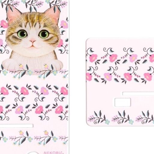 猫のパステルグッズ:トレンドと購入ガイド 1 e78cabe381aee38391e382b9e38386e383abe382b0e38383e382baefbc9ae38388e383ace383b3e38389e381a8e8b3bce585a5e382ace382a4e38389