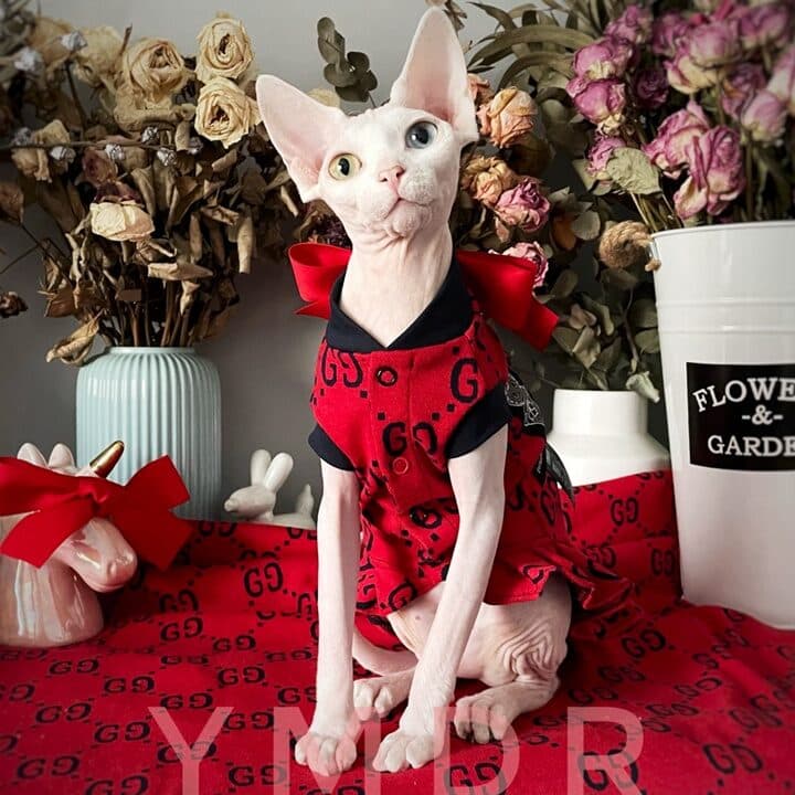 猫のファッション:最適な猫の服選びのガイド 5 e78cabe381aee38395e382a1e38383e382b7e383a7e383b3efbc9ae69c80e981a9e381aae78cabe381aee69c8de981b8e381b3e381aee382ace382a4e38389