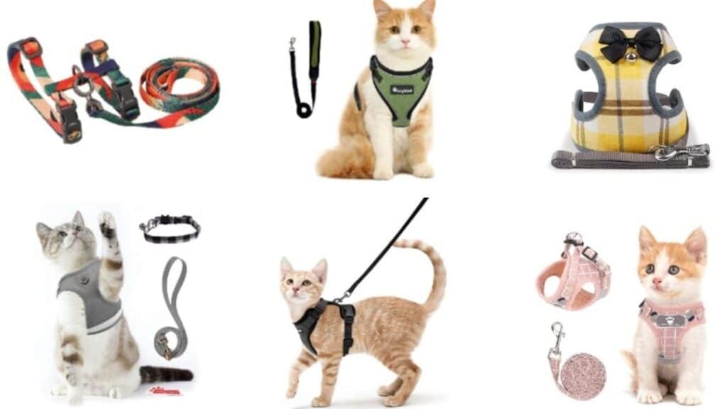 猫のリードとハーネス!選び方と安全な使い方を解説 1 e78cabe381aee383aae383bce38389e381a8e3838fe383bce3838de382b9efbc81e981b8e381b3e696b9e381a8e5ae89e585a8e381aae4bdbfe38184e696b9e38292