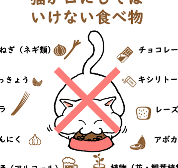 猫の下痢が水っぽい!原因と対処法、病院へ行く目安は? 5 e78cabe381aee4b88be797a2e3818ce6b0b4e381a3e381bde38184efbc81e58e9fe59ba0e381a8e5afbee587a6e6b395e38081e79785e999a2e381b8e8a18ce3818f