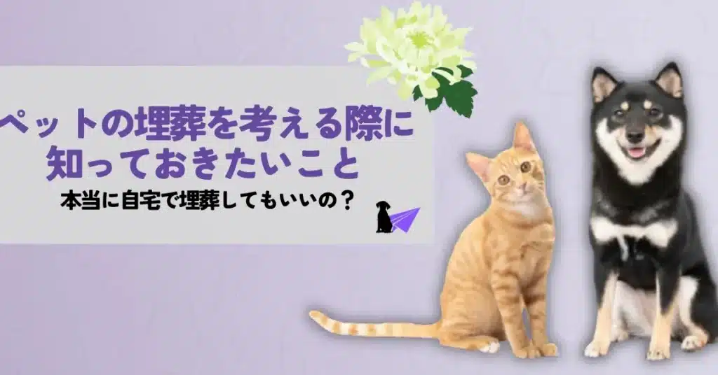猫の埋葬方法!ペット霊園や自宅埋葬の注意点 5 e78cabe381aee59f8be891ace696b9e6b395efbc81e3839ae38383e38388e99c8ae59c92e38284e887aae5ae85e59f8be891ace381aee6b3a8e6848fe782b9