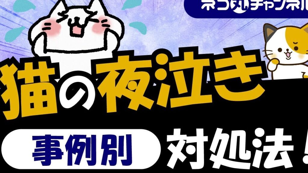 猫の夜泣きを止める方法!効果的な対策と注意点 5 e78cabe381aee5a49ce6b3a3e3818de38292e6ada2e38281e3828be696b9e6b395efbc81e58ab9e69e9ce79a84e381aae5afbee7ad96e381a8e6b3a8e6848fe782b9