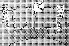 猫の寝言: 夢を見ている?どんな夢? 8 e78cabe381aee5af9de8a880 e5a4a2e38292e8a68be381a6e38184e3828befbc9fe381a9e38293e381aae5a4a2efbc9f