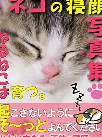 猫の寝顔に癒される!天使すぎる寝顔画像集 5 e78cabe381aee5af9de9a194e381abe79992e38195e3828ce3828befbc81e5a4a9e4bdbfe38199e3818ee3828be5af9de9a194e794bbe5838fe99b86