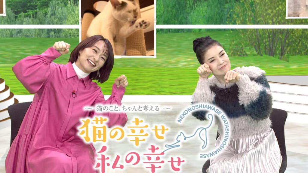 猫の幸せが私の幸せ!猫との暮らしの喜び 5 e78cabe381aee5b9b8e3819be3818ce7a781e381aee5b9b8e3819befbc81e78cabe381a8e381aee69aaee38289e38197e381aee5969ce381b3