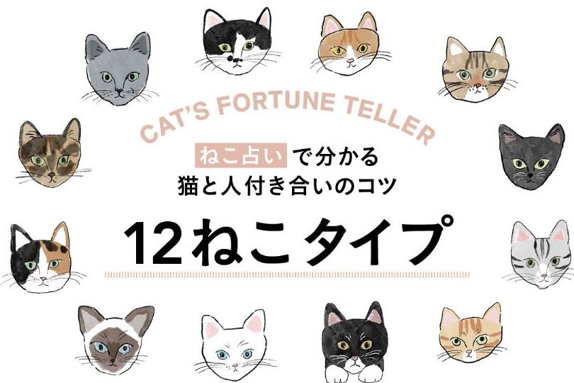 猫の性格は人間みたい?猫の性格診断 1 e78cabe381aee680a7e6a0bce381afe4babae99693e381bfe3819fe38184efbc9fe78cabe381aee680a7e6a0bce8a8bae696ad