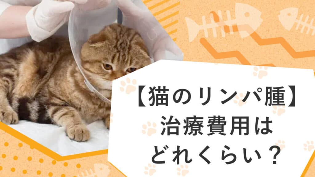 猫の抗がん剤費用!治療費の目安と補助制度 1 e78cabe381aee68a97e3818ce38293e589a4e8b2bbe794a8efbc81e6b2bbe79982e8b2bbe381aee79baee5ae89e381a8e8a39ce58aa9e588b6e5baa6